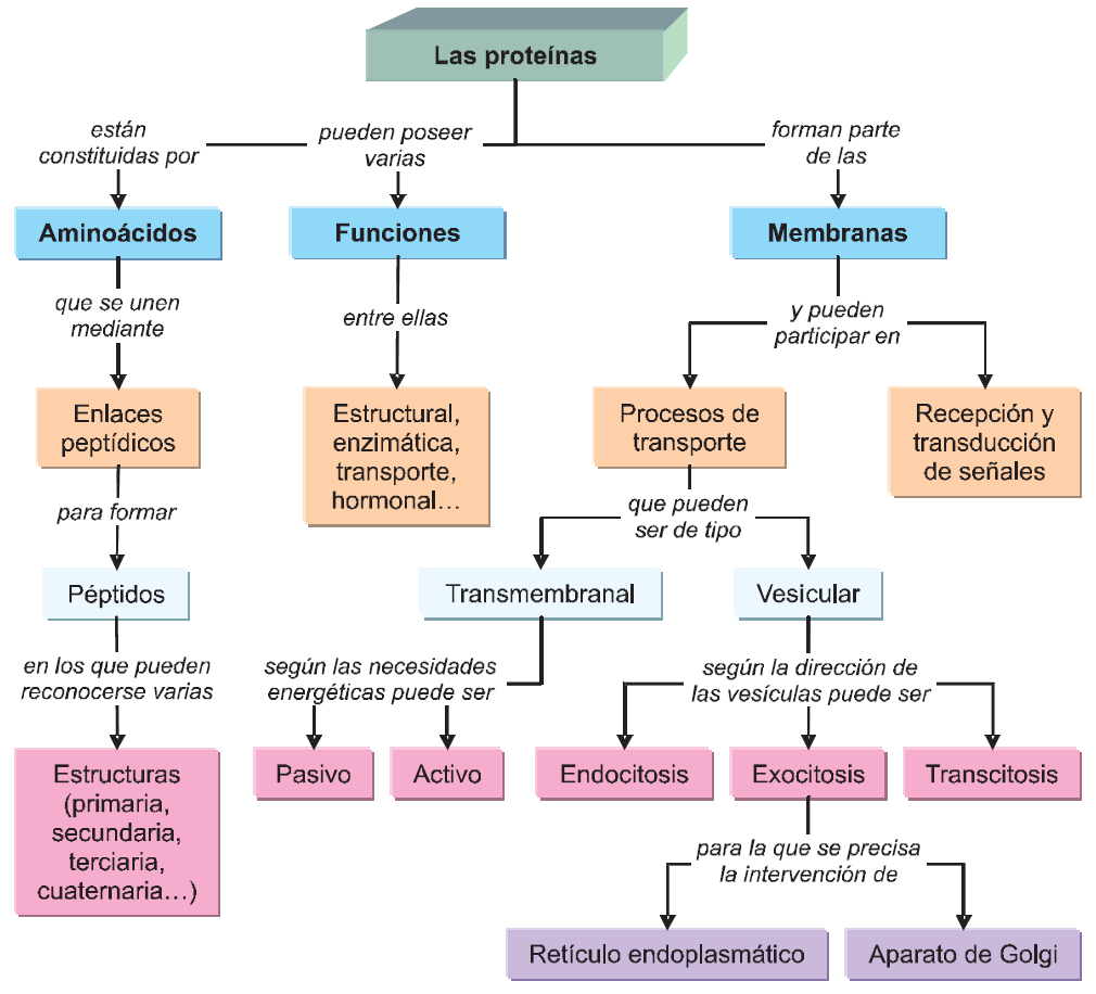 Mapa conceptual