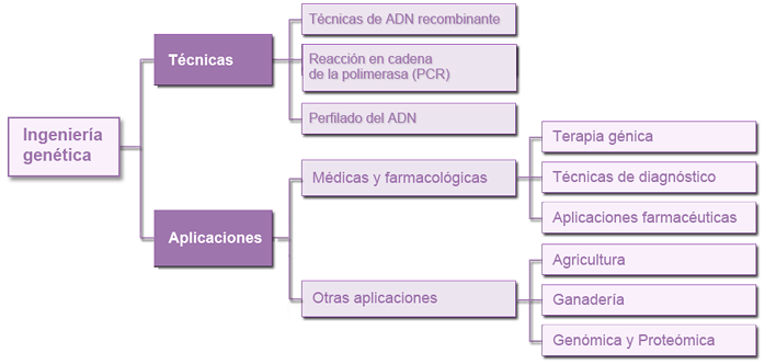 Ingeniería genética: técnicas y aplicaciones