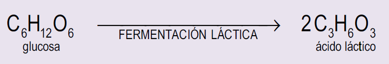 Ecuación 5