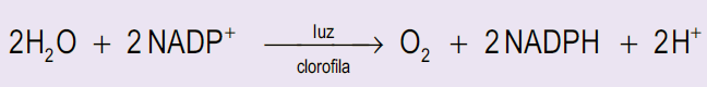 Reacción de Hill