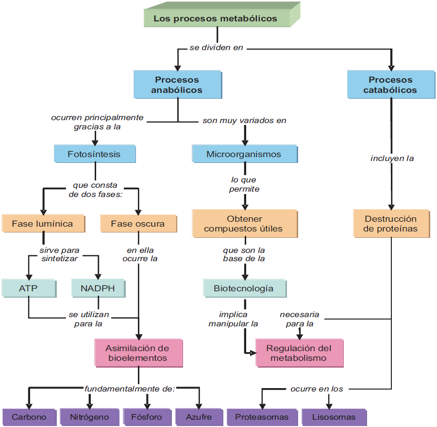 Mapa conceptual