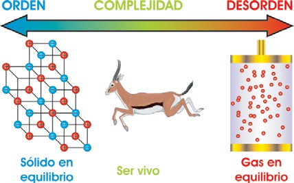 Orden y desorden