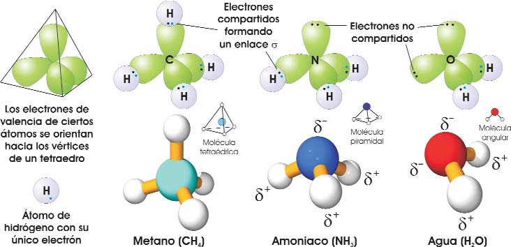 Moléculas de agua, metano y amoníaco