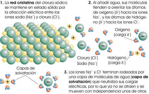 Solvatación